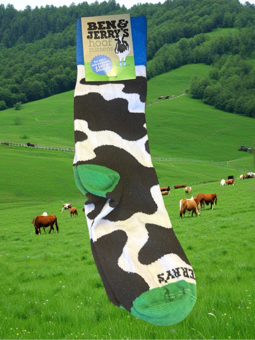 Ben & Jerry Socks NWT